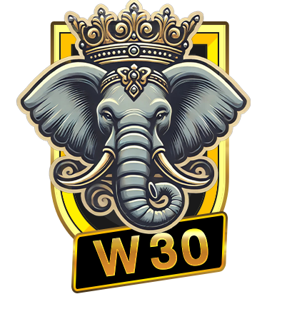 W30 logo